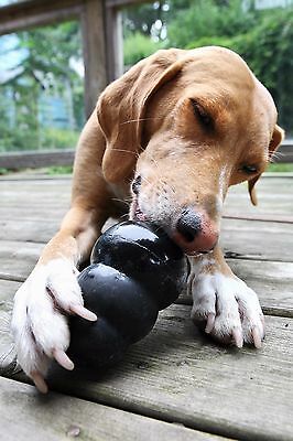 Kong Extreme Black Rubber Dog Chew Toy Tough Stuffable All Sizes Fast Ship!