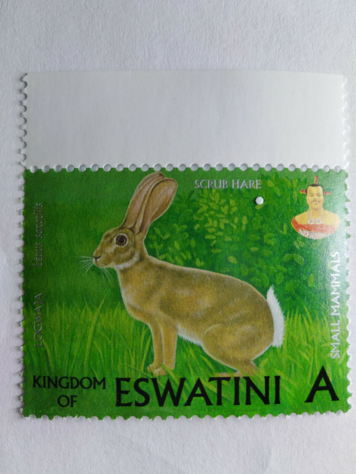 New Eswatini Stamp Scrub Hare