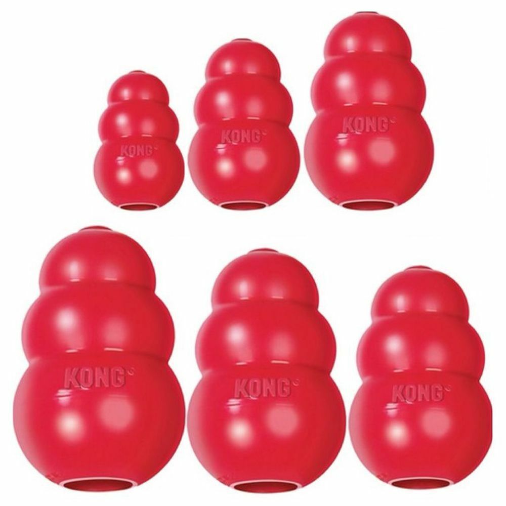 Kong Classic Dog Toy Free Shipping