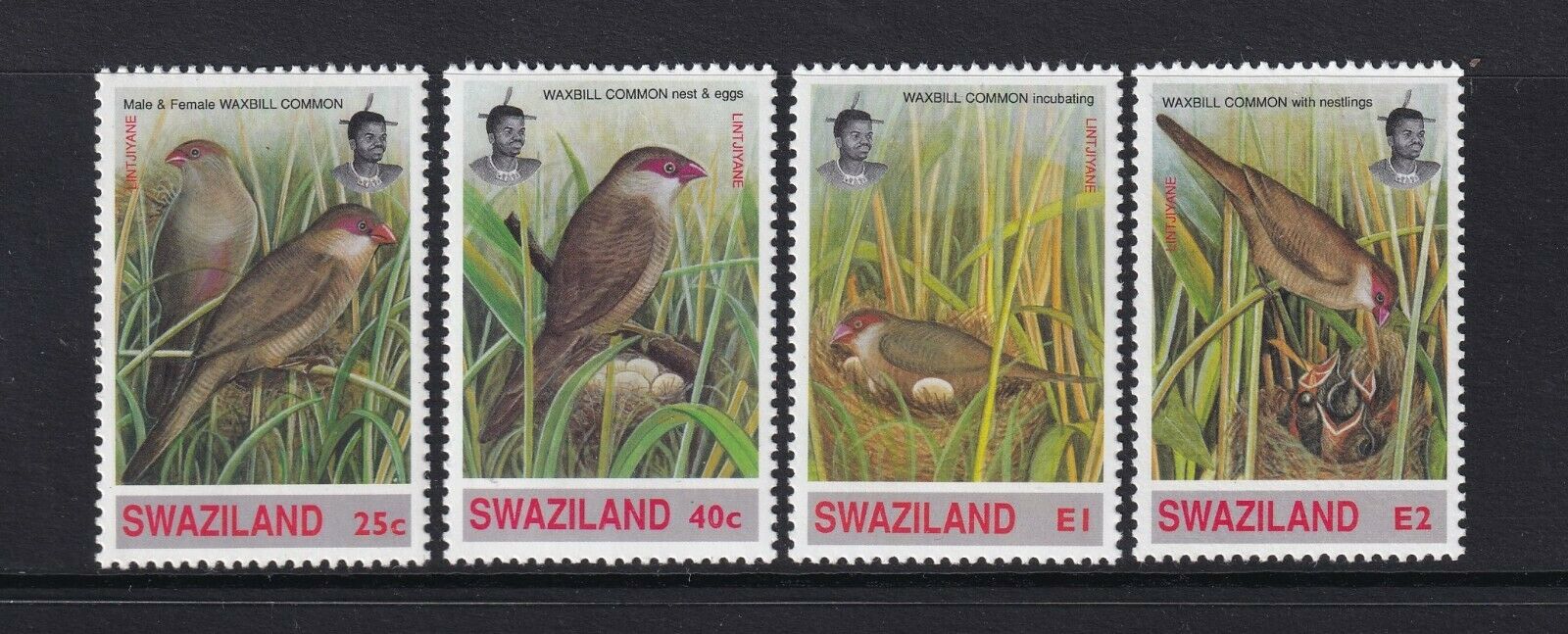 Swaziland - 1993, Common Waxbill, Birds Set - Mnh - Sg 630/3